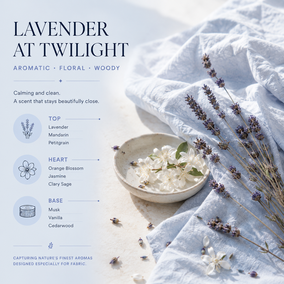 Lavender at Twilight